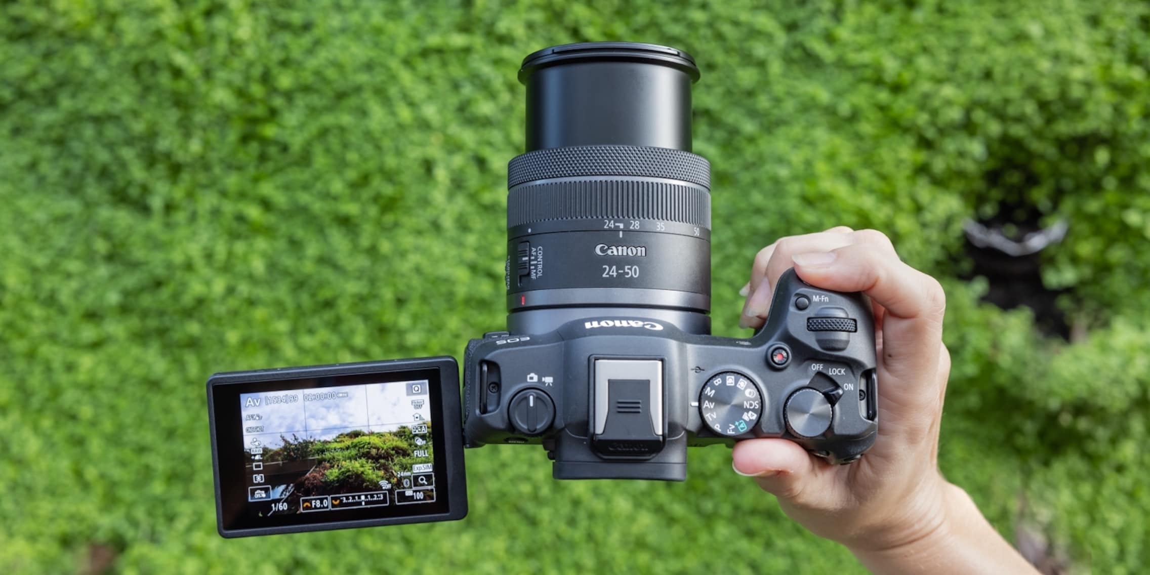 Canon EOS R8, Canon EOS R50, RF 24-50mm and RF-S 55-210mm